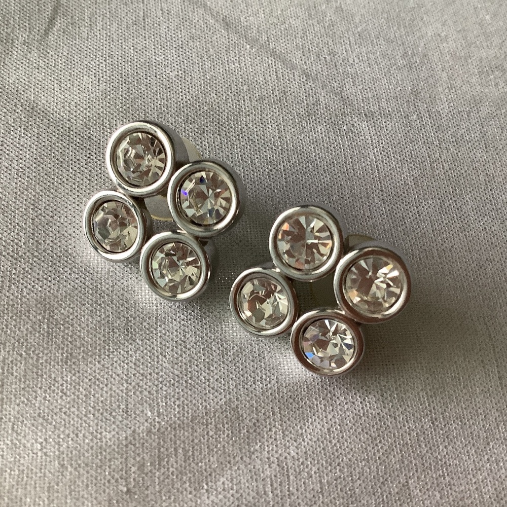 S.A.L. Earrings